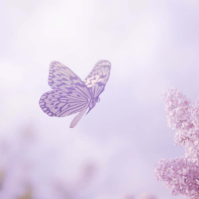 Vivian Beverly Ann Walton Thomas, Mrs