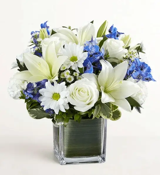 Healing Tears™ Blue & White