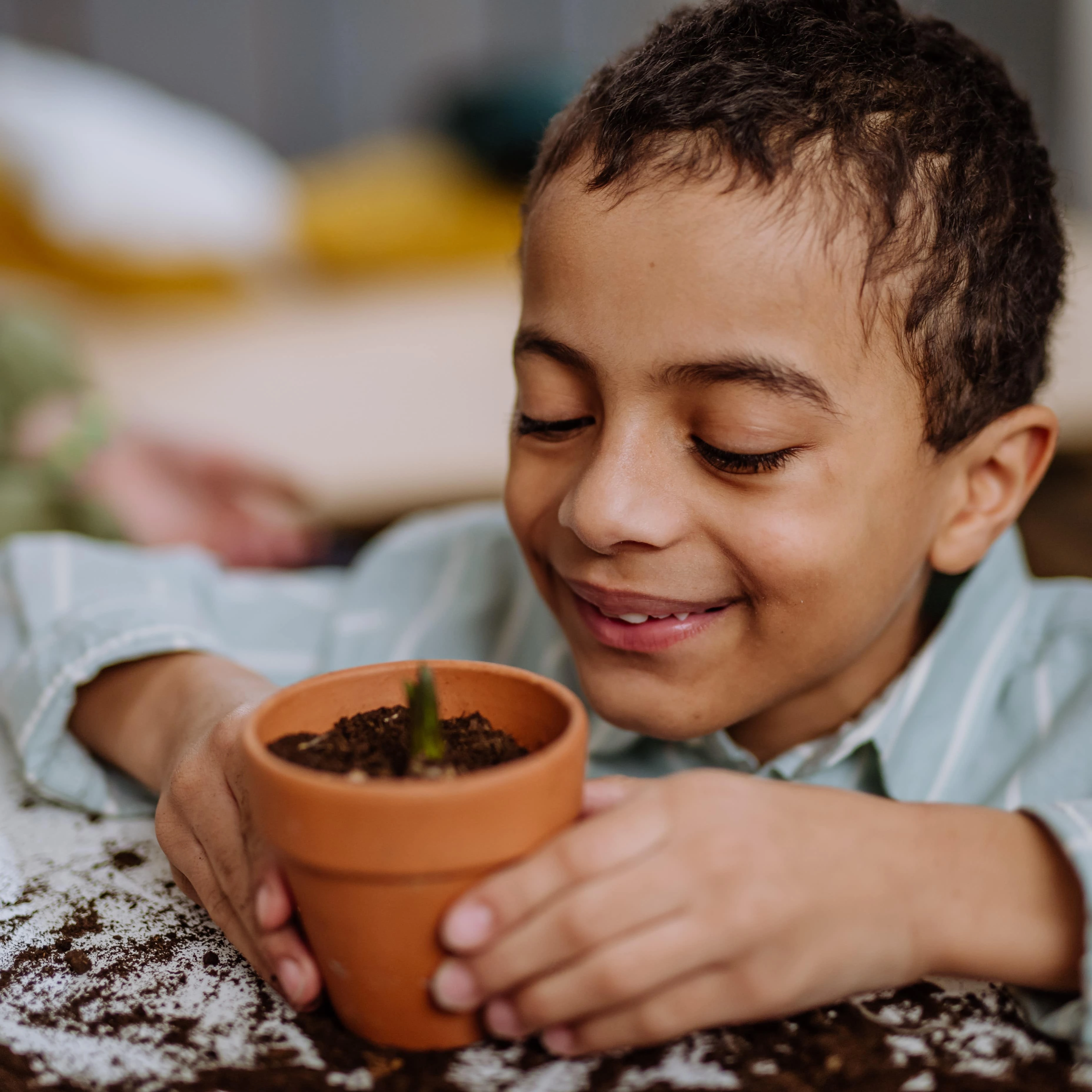 Honor someone who’s passed on, or create a Living Legacy to start saving important memories and info for you and your loved ones now.